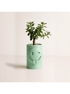 Belirtilmemiş 3D Baskı Emoji Planter - Göz Kırpan Yüzlü Sukulent Saksısı-Mint