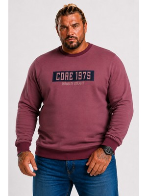 Moc Grande Mocgrande Erkek Büyük Beden Sıfır Yaka 3ip Sweat Core 1975 24209 Eflatun
