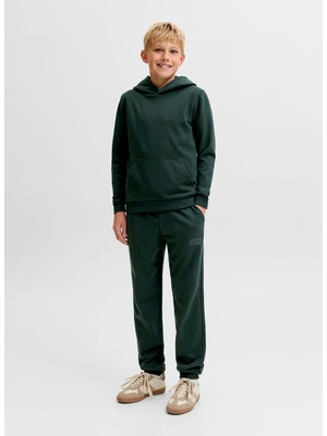 Jack & Jones Yeşil Erkek Baskılı Sweatpant 12179798 Jpstgordon Jjnewsoft