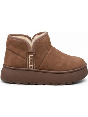 Black Flex Cozy Pelush Kadın Günlük Kısa Bot Taba 36-40