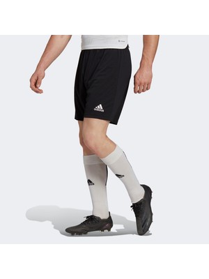 Adidas Entrada 22 Erkek Siyah Futbol Şortu