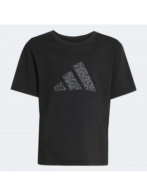 Adidas Lg An 3s Set Eşofman Takımı
