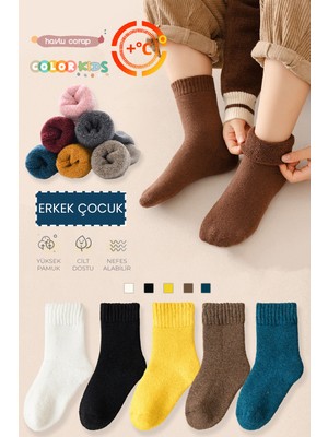 Color Socks 5 Çift Kışlık Erkek Çocuk Havlu Çorap Seti (Isı Emici)