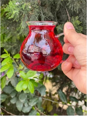 TeknoKapsül Keyfi Ala 6'lı Borosilikat Cam Çay Bardağı Seti, 200ML Termisil Kupa, Şık ve Dayanıklı, Çay Vakti Için Ideal (12 Adet)