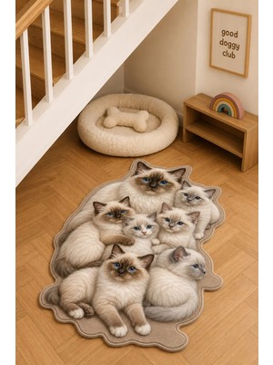 Zng Design Home Ragdoll Krem-Kahverengi Kedi Figürlü Mama Halısı ve Paspası, Kaymaz Yıkanabilir, Farklı Ölçü