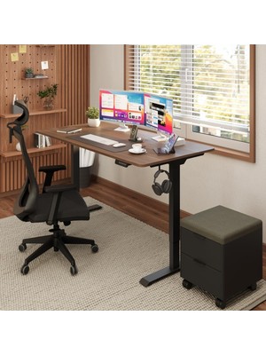 Ayrex Uprise Comfort Çift Motorlu Yükseklik Ayarlı Masa (72–121 Cm) (Siyah Ayak/ceviz Tabla, 14