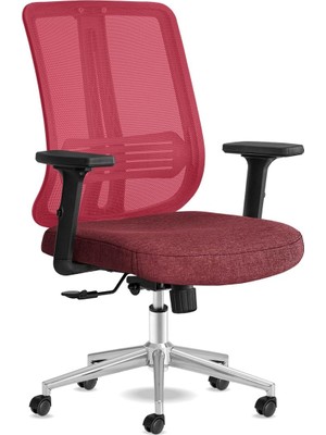 Ayrex Spark Ofis Sandalyesi Ergonomik Sırt Destekli Çalışma Koltuğu Başlıksız File Sırt (K�