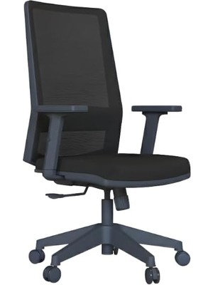 Ayrex Ritim Rtm Ergonomik Fileli Çalışma Koltuğu, Ayarlanabilir Bel ve Kol Destekli Ofis Sandaly