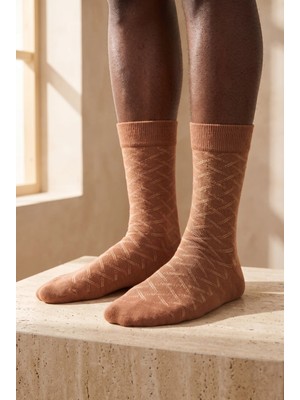 Bony Socks Çizgi Desenli Erkek Soket Çorap Koyu Kahve