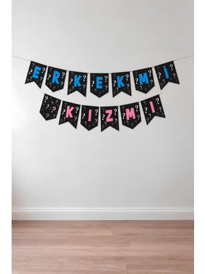 Patladı Gitti Erkek Mi Kız Mı Zikzak Banner