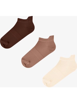 Penti Kahve Fit Back 3 Çift Patik Çorap
