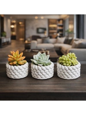 3’lü Mini Saksı Seti 5 cm – El Yapımı Dekoratif Beton Saksı | Küçük Sukulent Saksısı, Masa & Raf Dekoru, Modern Minimal Tasarım (Bitki Dahil Değildir)