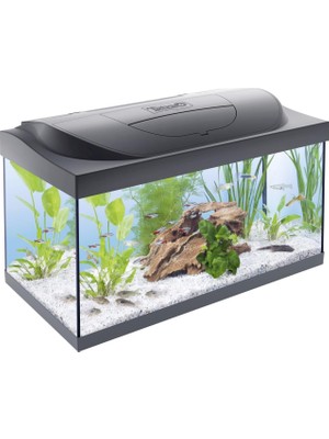 TeknoKapsül Tetra Starter Line 54 L Akvaryum Komple Set – Gündüz ve Gece Lambası LED Aydınlatma, Iç Filtre, Isıtıcı, Balık Yemi ve Su Hazırlama Cihazı Dahil