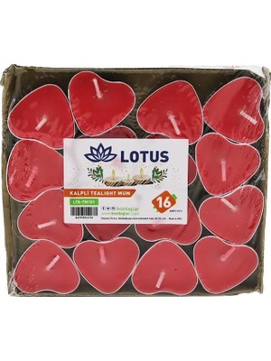 Varsoph 16PCS   Kalpli - Kırmızı  Tea Light Mum (5468)