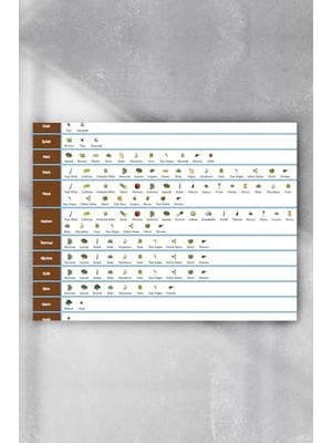 Mey İthalat (PSTER2729) Aylar ve Sebzeler Eğitim Posteri