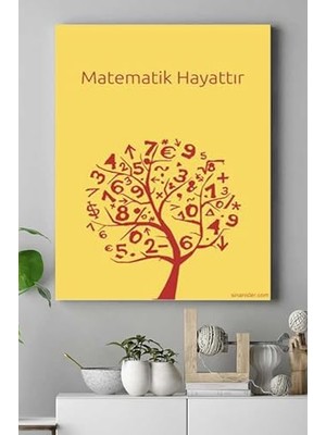 Mey İthalat Matematik Hayattır Eğitim Kanvas Tablo PSTER16952 2 30 x 40