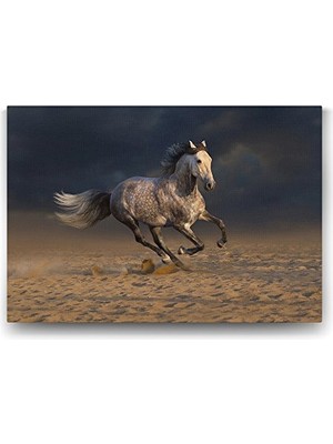 Mey İthalat Kırçıllı At Görseliyle Dekoratif Tablo, 45X30 cm