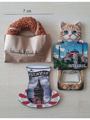 Mey İthalat Istanbul'un Simgeleri Magnet Üçlü Seti