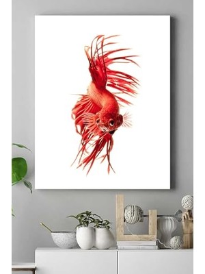 Mey İthalat (PSTER17774) Sanatsal Balık Hayvan Kanvas Tablo 4 50 x 70