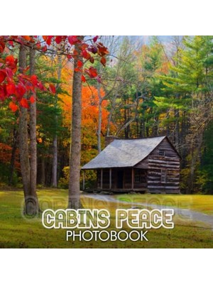 Mey İthalat Beautiful Scenes Of Cabins Peace Monthly Planner 2023-2024 | Meaning Gift For Traveler Featuring Cabins Peace Landscapes | ... 2024. (Travel Photo Collections Series).10, Cabins Peace Photobook