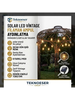 Eser Ticarett 10LU Solar Gunes Enerjili Vintage Filaman Ampul Isik Zinciri Bahce Balkon 8 Modlu Dis Mekan