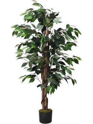 Kazan Hobi 120X70 cm Yapay Benjamin Ağacı, 2 Gövdeli Çalılı, Siyah Plastik Saksılı