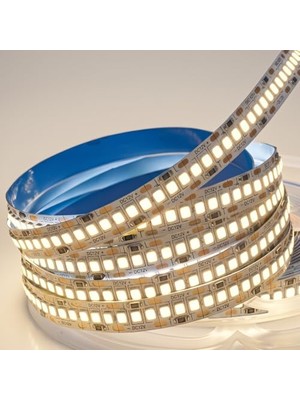 Kazan Hobi Ekstra Parlak Günışığı Aydınlatma, Cata CT-4538G Gold 240 Çipli Iç Mekan Şerit LED (12W Yüksek Lümen), 5 Metre Günışığı