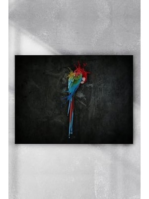 Kazan Hobi (PSTER7572) Papağan Sanatsal Poster 40X60 cm