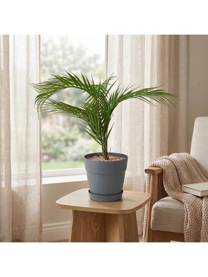 Matmel Deco Saksılı Yapay Çiçek - Yeşil - 85 cm