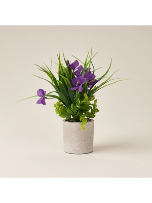 Matmel Deco Saksılı Petunya - Mor - 28 cm