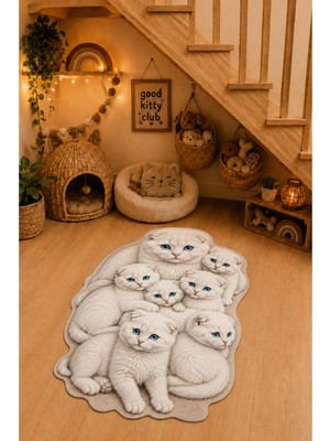 Zng Design Home Beyaz Mavi Gözlü Scottish Fold Kedi Ailesi Figürlü Dijital Baskı Makine Halısı, Kaymaz ve Yıkanabilir