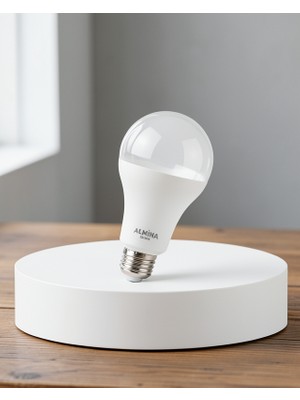 Alemdar Pazarlama Şarjlı LED Ampul, Ev ve Iş Yeri Için, E27 Duy, 30W, 6400K