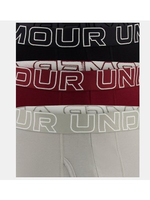 Under Armour Erkek Ua Performance Cotton 6" 3'lü Boxer