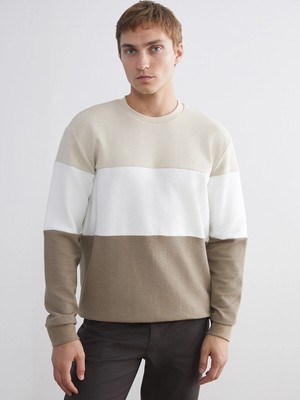Lc Waikiki Yeni Sezon Bisiklet Yaka Renk Bloklu Erkek Sweatshirt