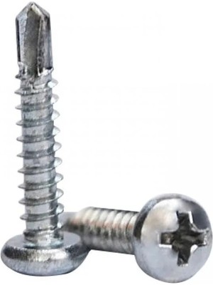 Colezium Ysb Matkap Uçlu Akıllı Vida 3,9X25 ( 10 Adet )