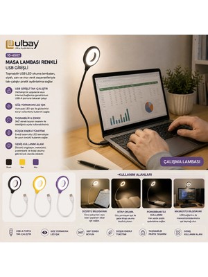 Techora Sale Masa Lambası Renkli USB Girşili BX40