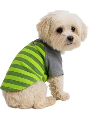 Üstüner Kedi ve Köpek Kıyafeti &amp; Elbisesi Yeşil Gri T Shirt Xl