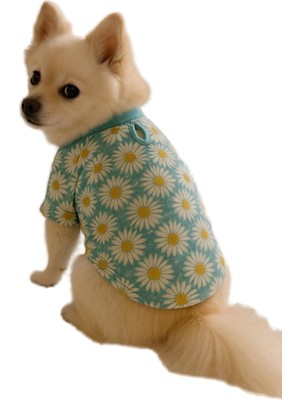 Üstüner Kedi ve Köpek Kıyafeti &amp; Elbisesi Papatyalı T Shirt Mint Yeşil S