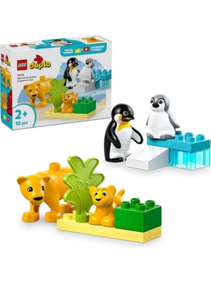 Üstüner Duplo Town Vahşi Hayvan Aileleri: Penguenler ve Aslanlar 10442-2 Yaş ve Üzeri Çocuklar Için Eğitici ve Yaratıcı Oyuncak Yapım Seti (10 Parça)