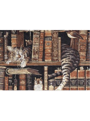 Üstüner Tasarımlı Dekoratif Kapı Önü Paspas, Dış Mekan/ev Içi/banyo/mutfak/yatak Odası/giriş Paspasları (Uykucu Kedi, 45X70)