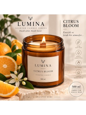 Lumina Portakal Ferahlığı – 500 cc Çift Fitilli Yoğun Kokulu Soya Wax Mum | Amber Cam