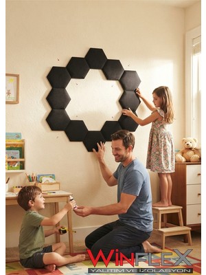Winflex 12'li Altıgen Akustik Kumaş Panel (17X20 Cm) Siyah