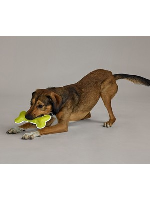 Tchibo Köpekler Için Oyuncak, Kemik