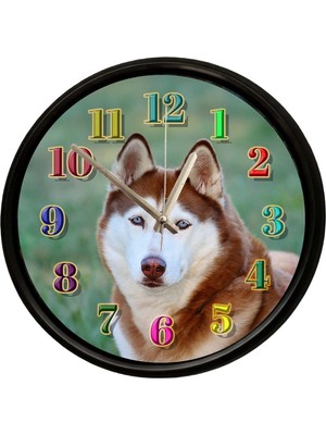 Caseras Sibirya Kurdu Husky Tasarımlı Dekoratif Duvar Saati 28 cm Sessiz Mekanizma