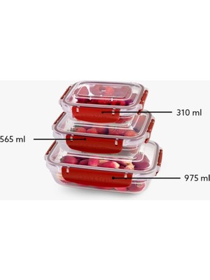 Dolozena Master Dikdörtgen Saklama Seti 3'lü 310-565-975 ml ROYALEKS-30886
