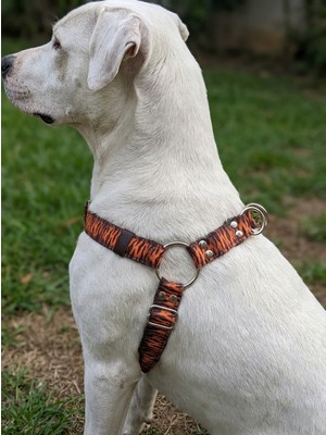 Balkonda Kişiye Özel Köpek Göğüs Tasması Ayarlanabilir Küçük ve Orta & Büyük Irk Kolon Kordon Kaplan Desen