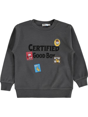 Civil Boys Certıfıed Baskılı 2-5 Yaş Sweatshirt - Gri