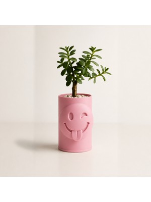 Popüler Sepet 3D Baskı Emoji Planter - Göz Kırpan Yüzlü Sukulent Saksısı-Pembe