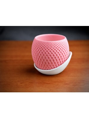 Popüler Sepet 3D Baskı Küre Saksı - Kafes Dokulu Iki Parçalı Dekoratif Saksı - Pembe-Beyaz