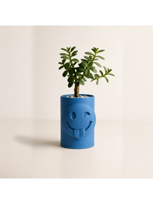 Popüler Sepet 3D Baskı Emoji Planter - Göz Kırpan Yüzlü Sukulent Saksısı-Mavi